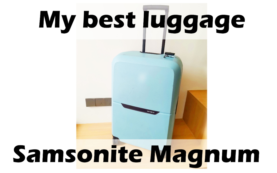 My Luggage Samsonite Magnum Check-in